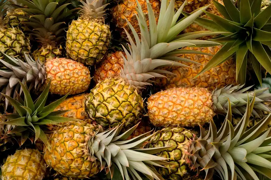 PIÑA
