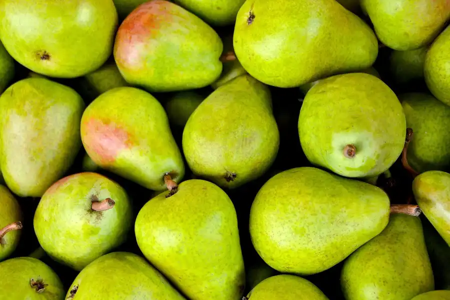 GRAN VARIEDAD EN PERAS
