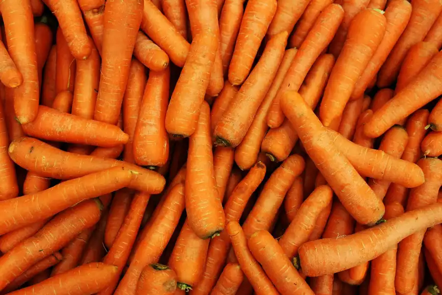 ZANAHORIAS