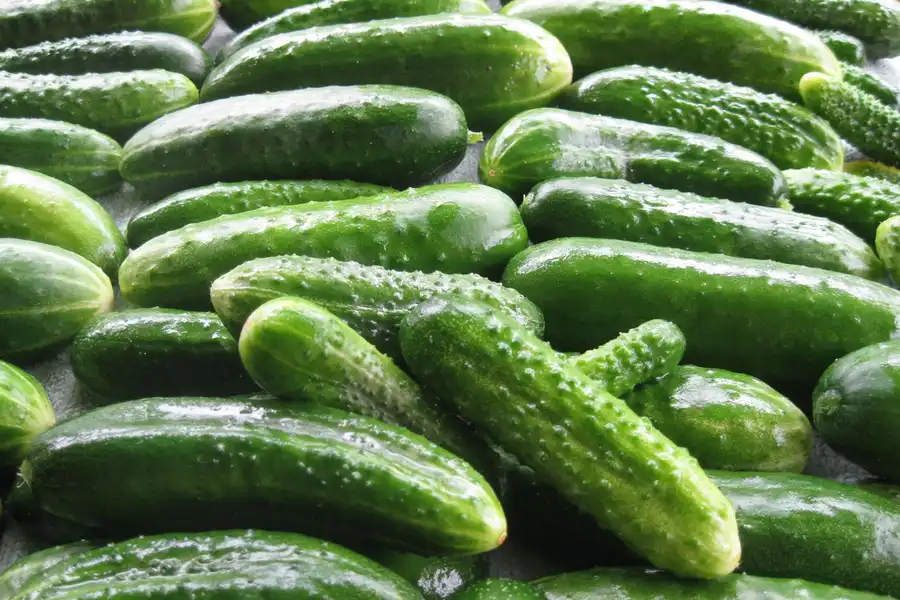 PEPINO