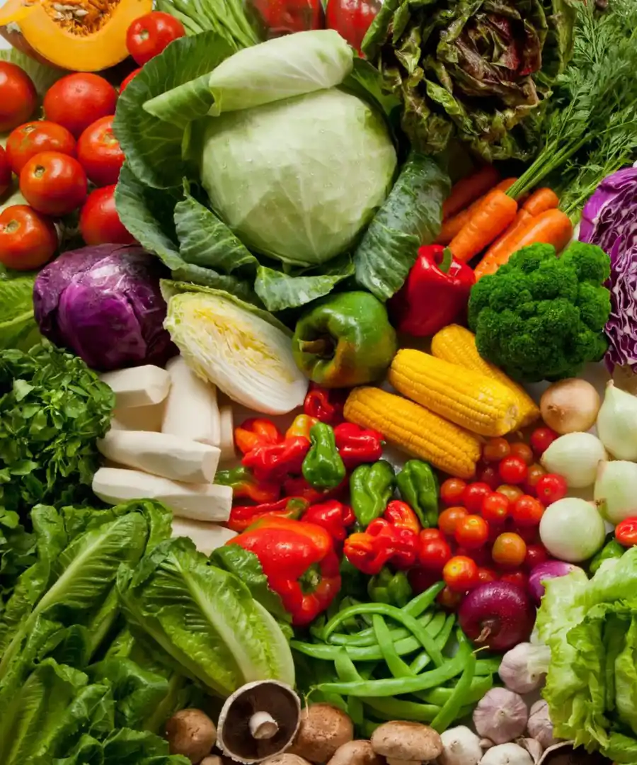 Hortalizas y verduras