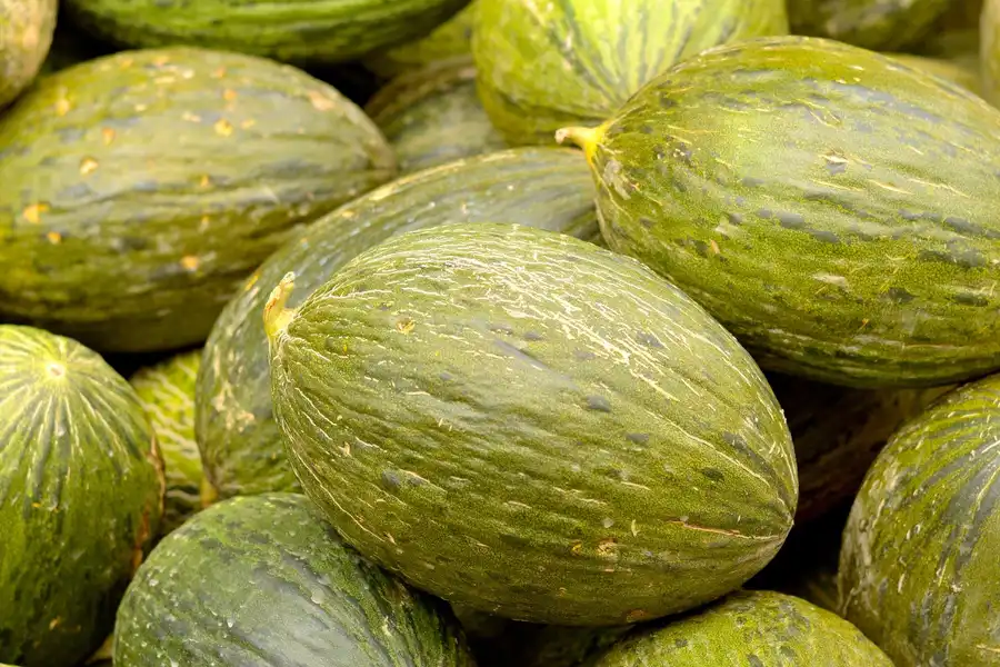 MELÓN