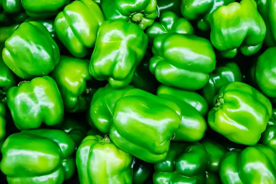 PIMIENTO ITALIANO VERDE