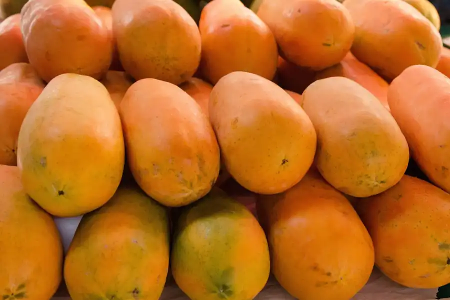 MANGO