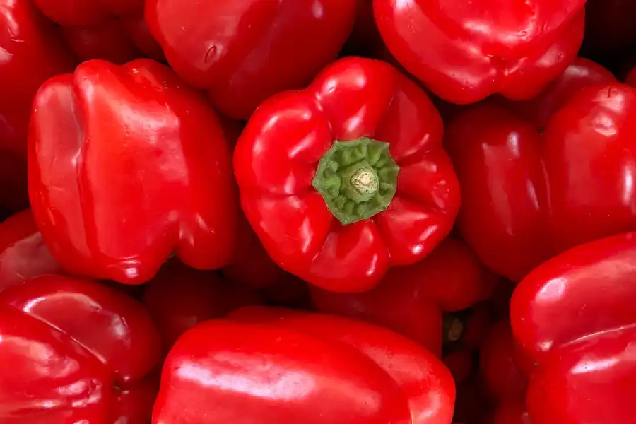 PIMIENTO ROJO