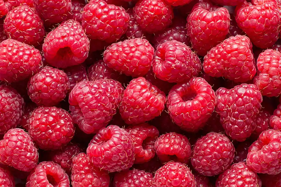 FRAMBUESAS