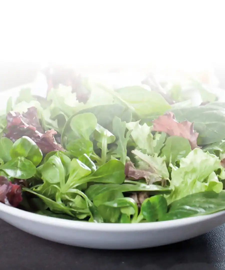 PREPARADO PARA ENSALADAS
