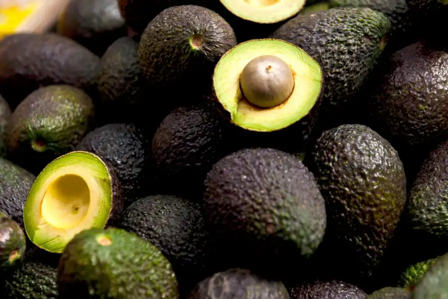 AGUACATE