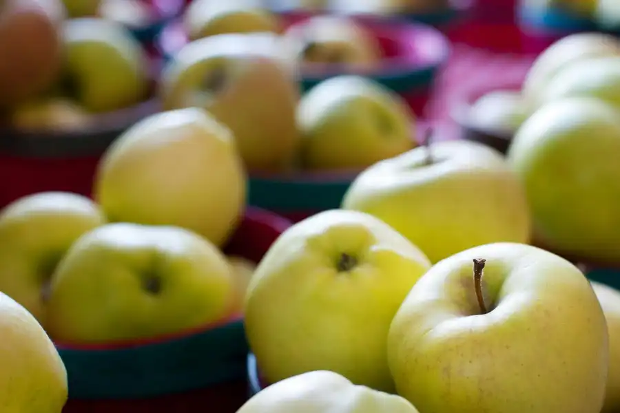 GRAN VARIEDAD EN MANZANAS