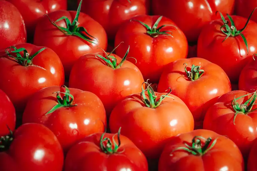 TOMATES